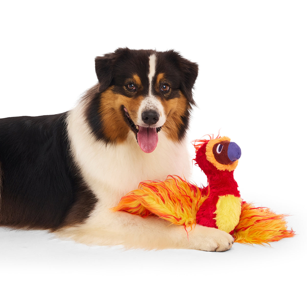 BARK X Harry Potter Fawkes Dog Toy