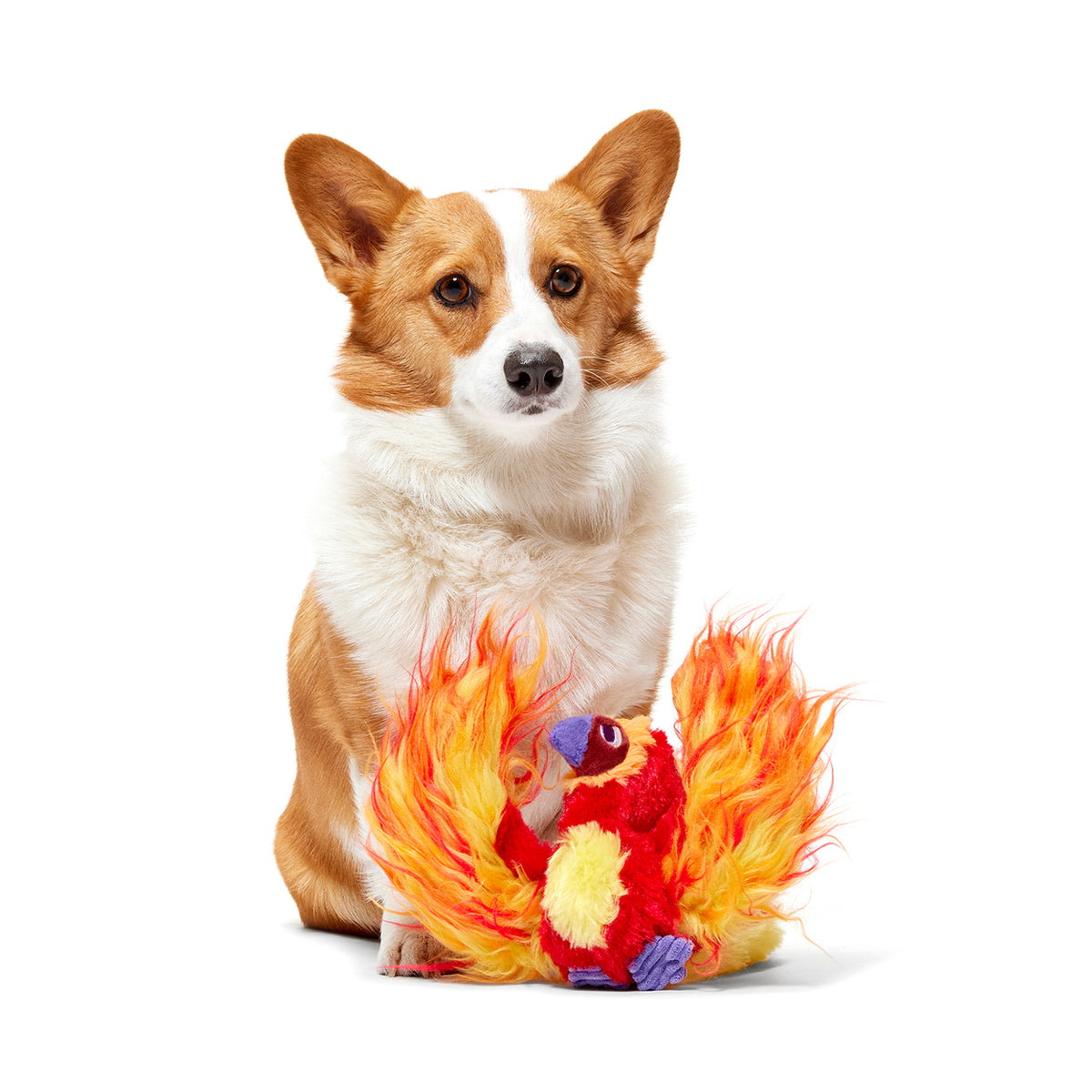 BARK X Harry Potter Fawkes Dog Toy