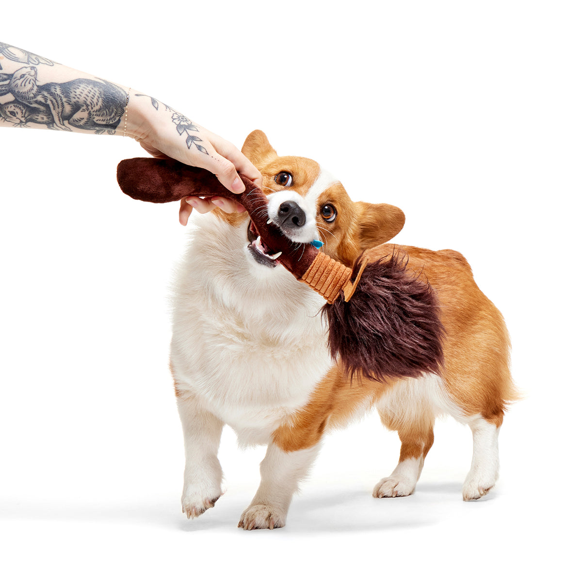 BARK X Harry Potter Nimbus 2000 Dog Toy