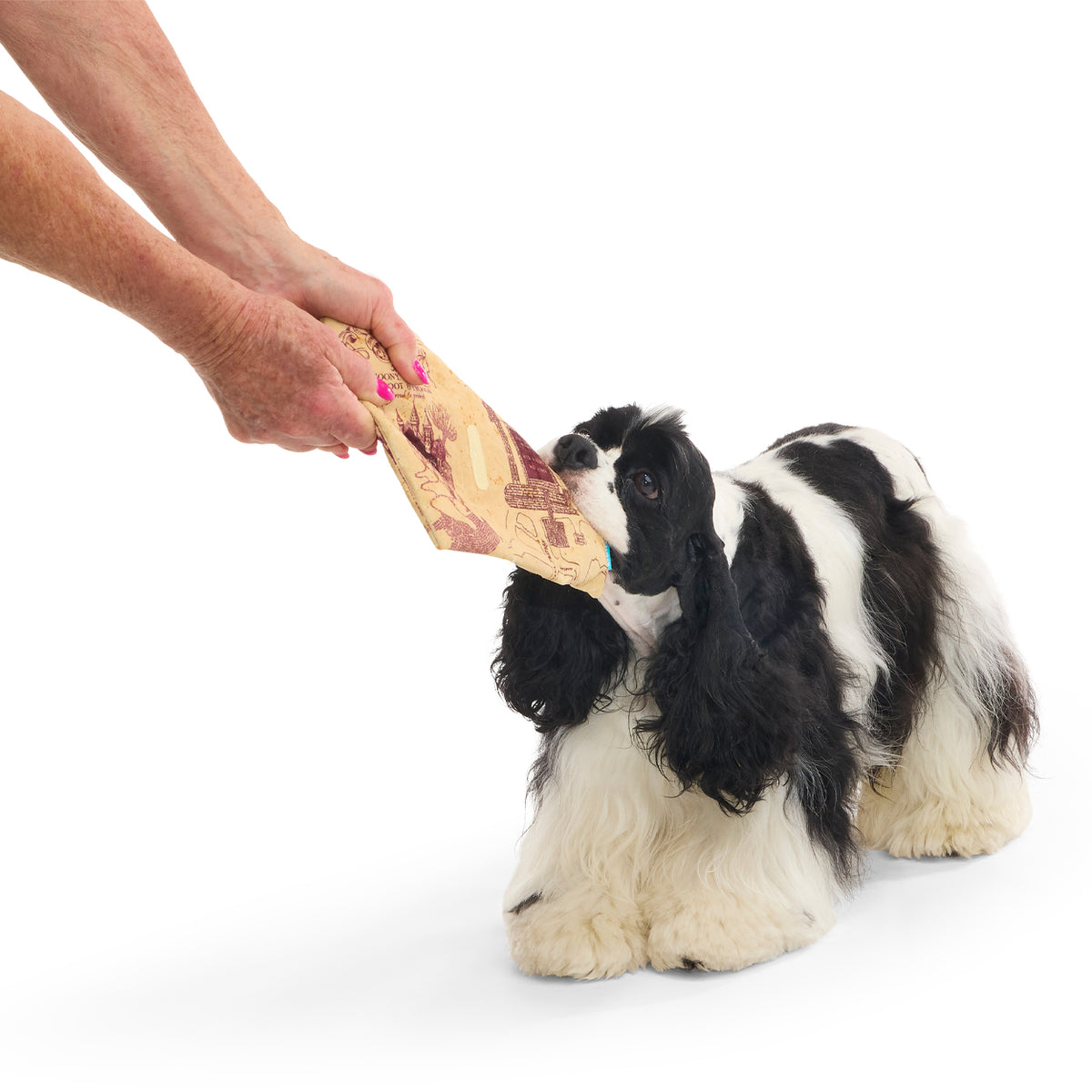 BARK X Harry Potter Marauder’s Map Dog Toy