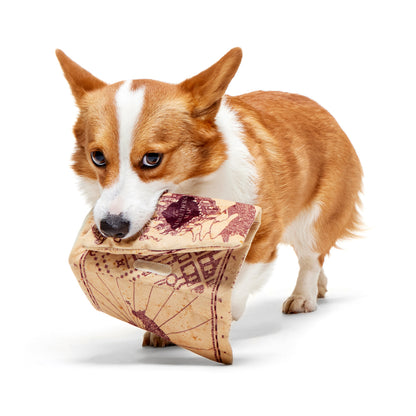 BARK X Harry Potter Marauder’s Map Dog Toy
