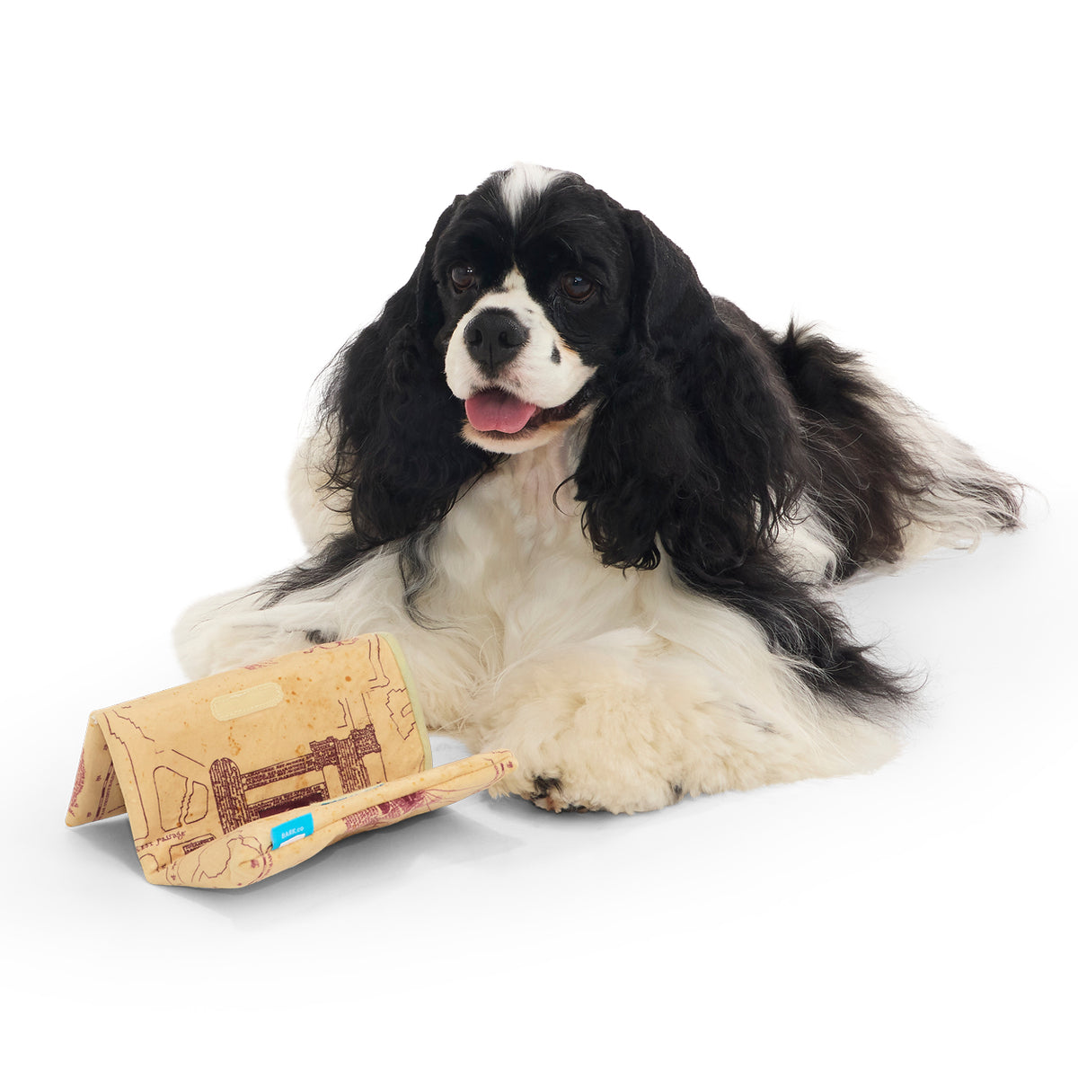 BARK X Harry Potter Marauder’s Map Dog Toy