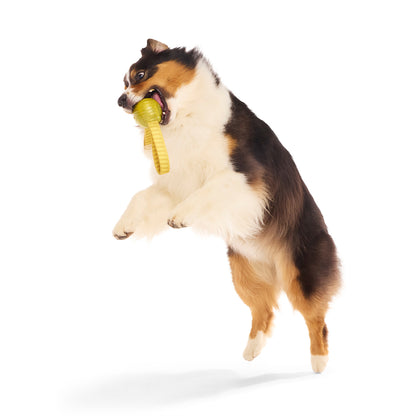 BARK X Harry Potter The Golden Snitch Tug Dog Toy
