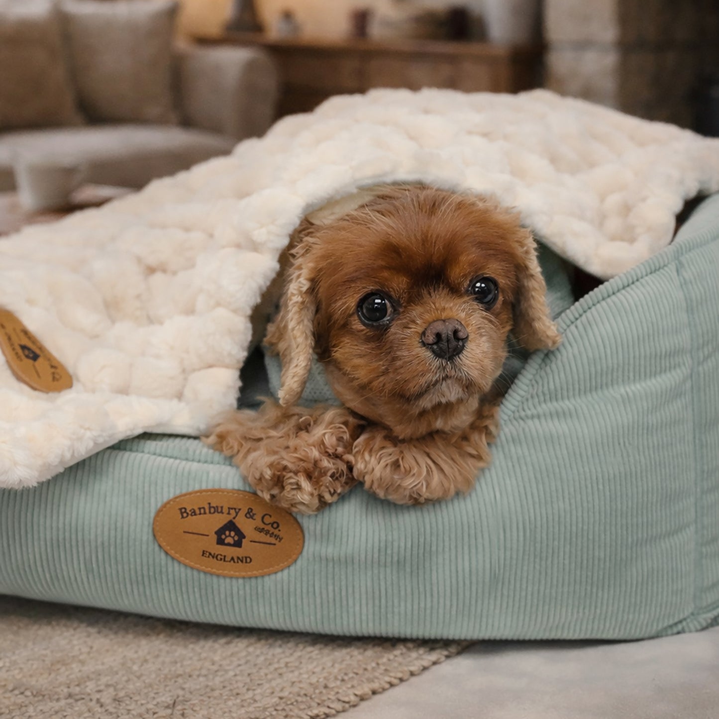 Banbury & Co Rural Retreats Corduroy Box Bed & Blanket Bundle