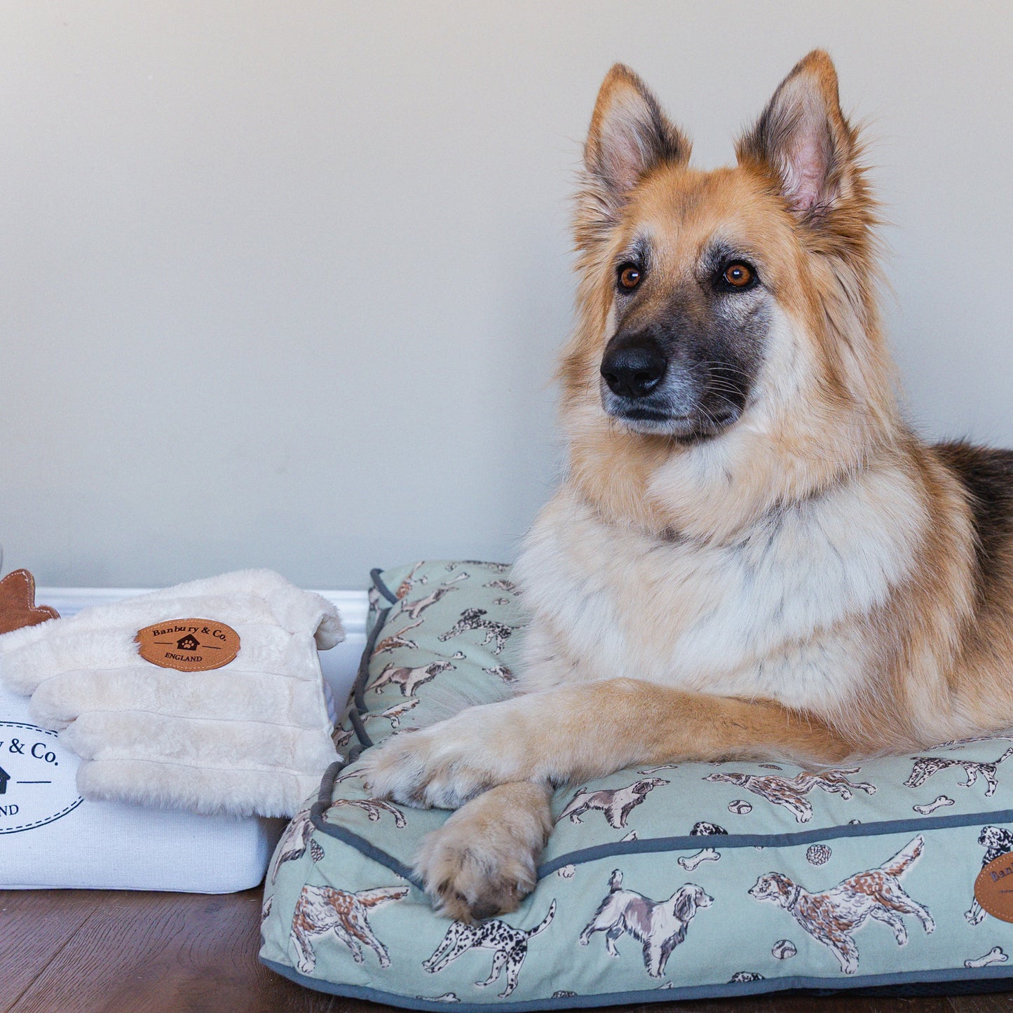 Banbury & Co Rural Retreats Dog Mattress & Blanket Bundle