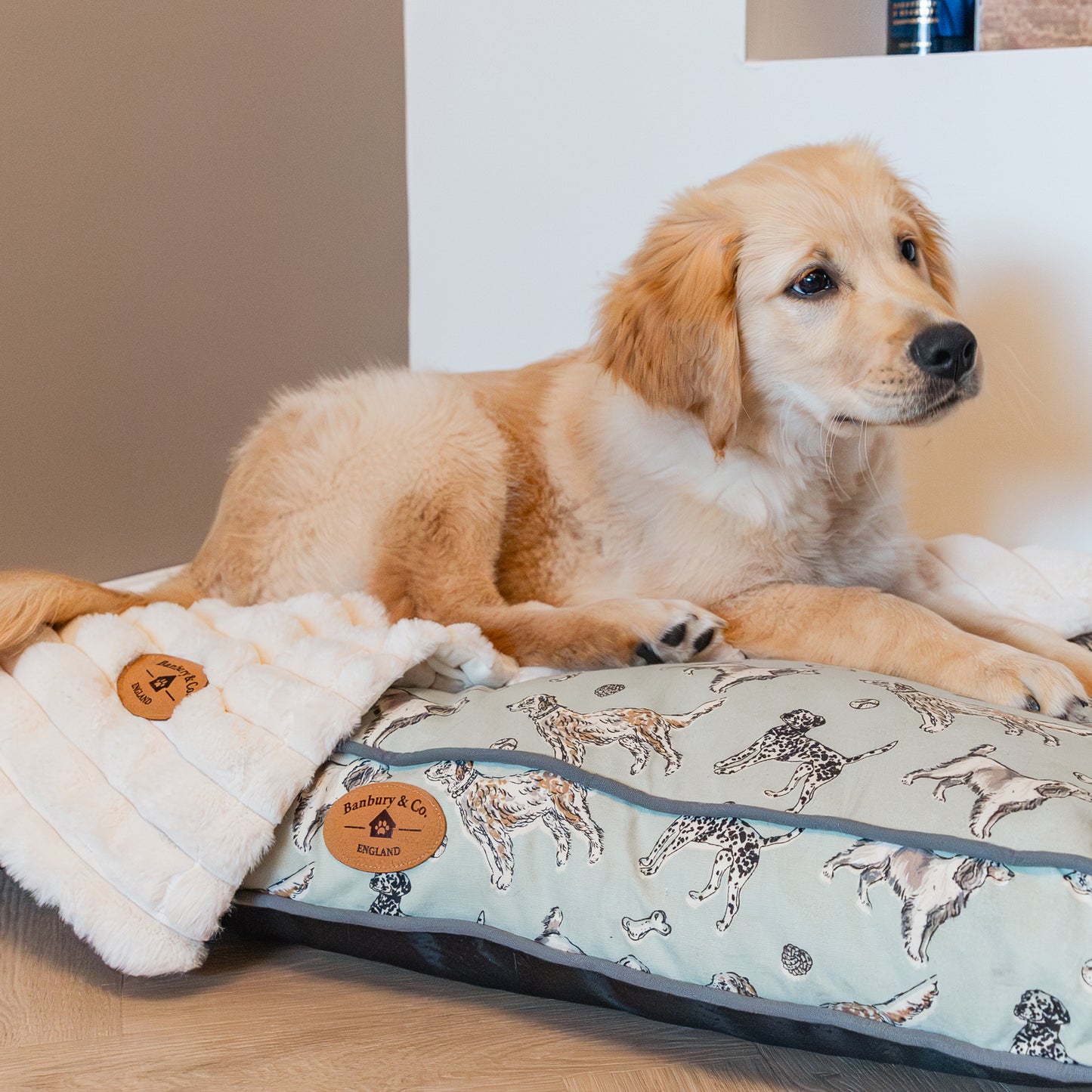 Banbury & Co Rural Retreats Dog Mattress & Blanket Bundle