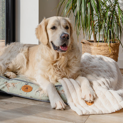 Banbury & Co Rural Retreats Dog Mattress & Blanket Bundle