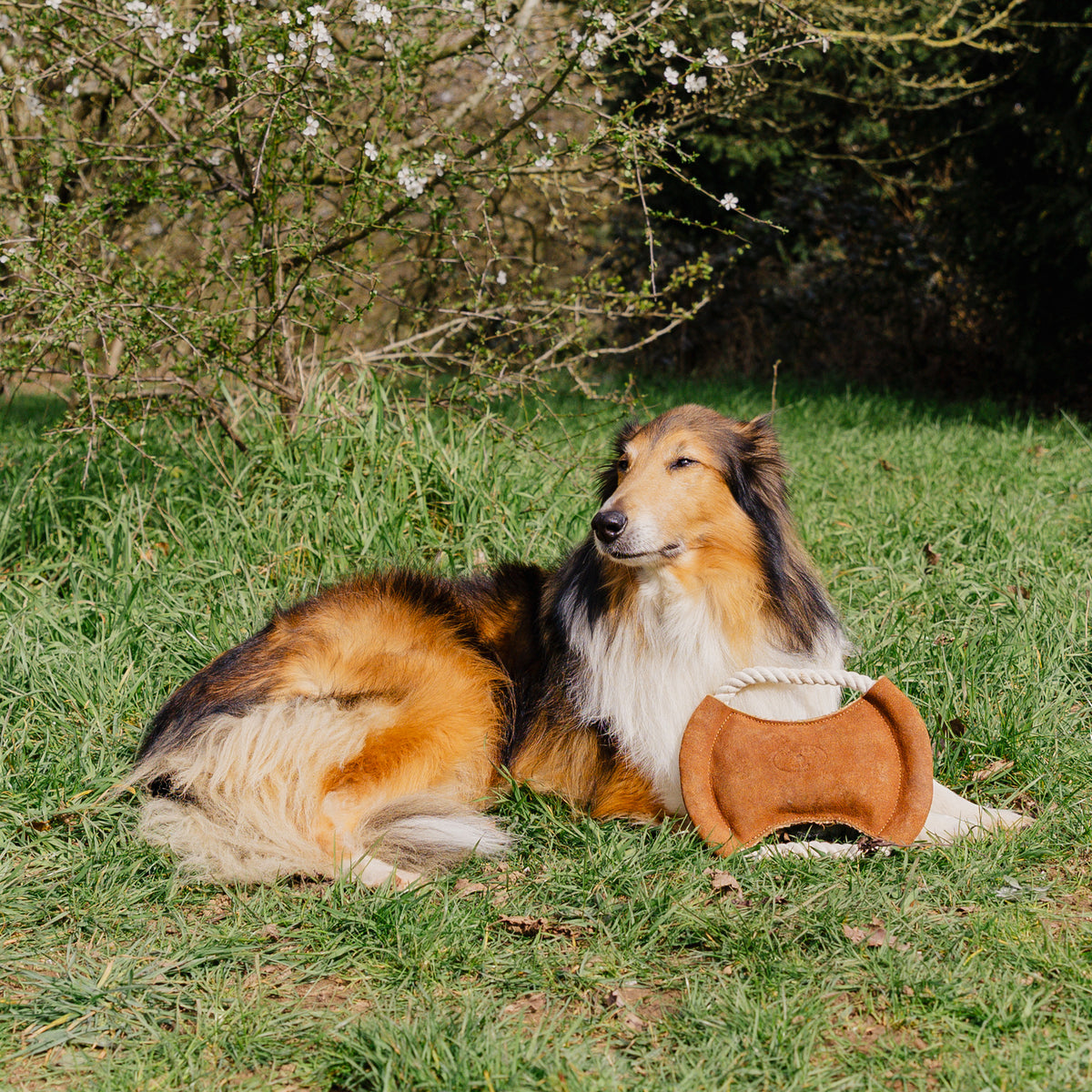 Banbury & Co Rural Retreats Suede Dog Toy 3-Piece Set