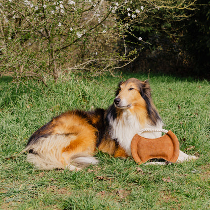 Banbury & Co Rural Retreats Suede Dog Toy 3-Piece Set