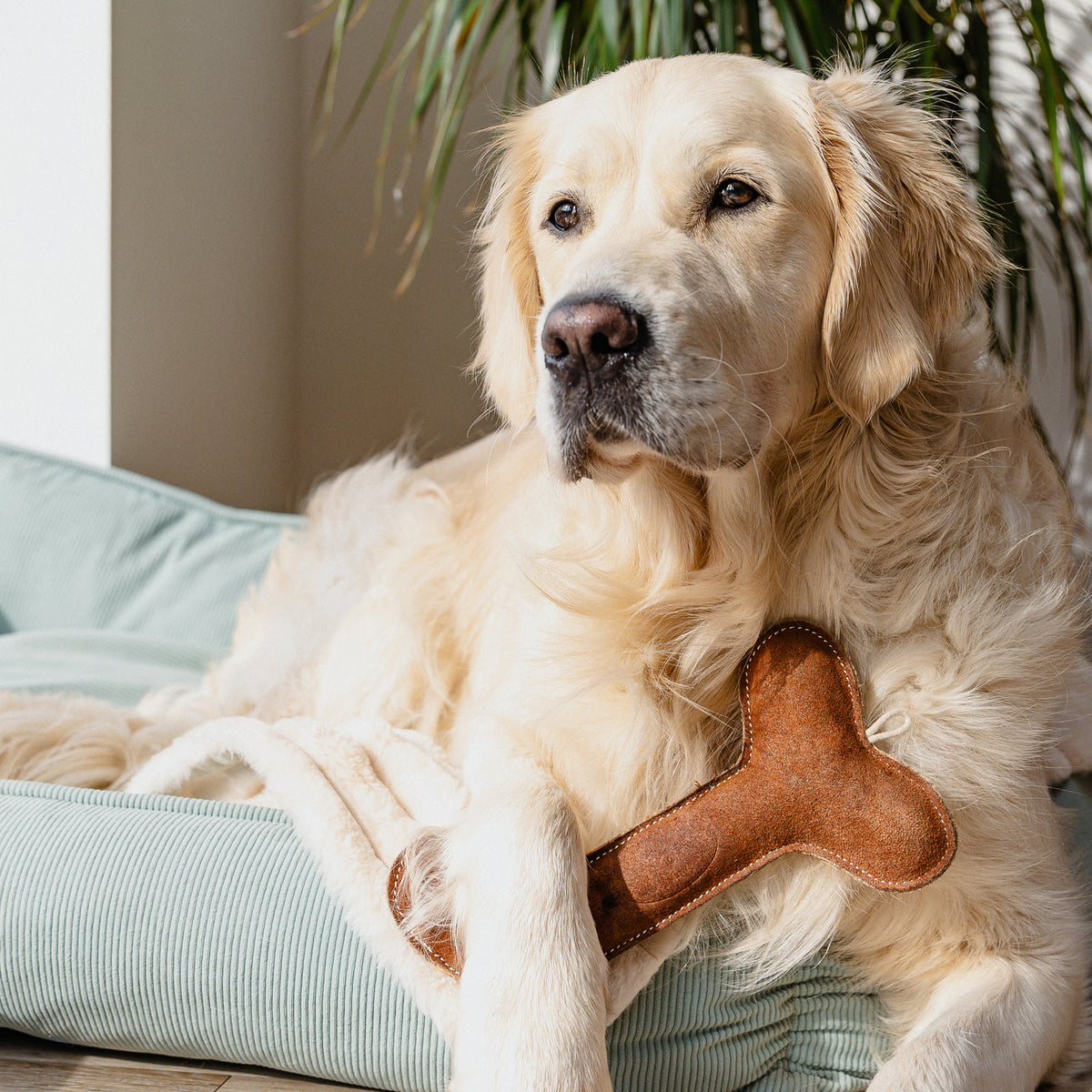 Banbury & Co Rural Retreats Suede Dog Toy 3-Piece Set