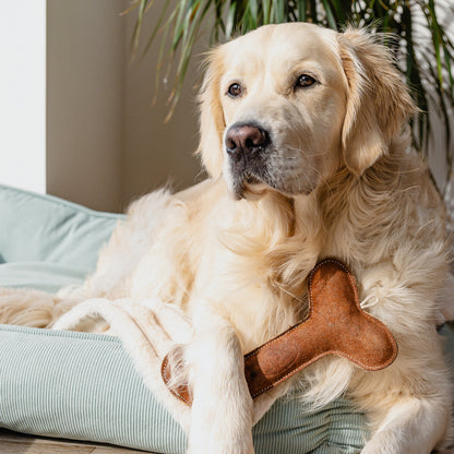Banbury & Co Rural Retreats Suede Dog Toy 3-Piece Set