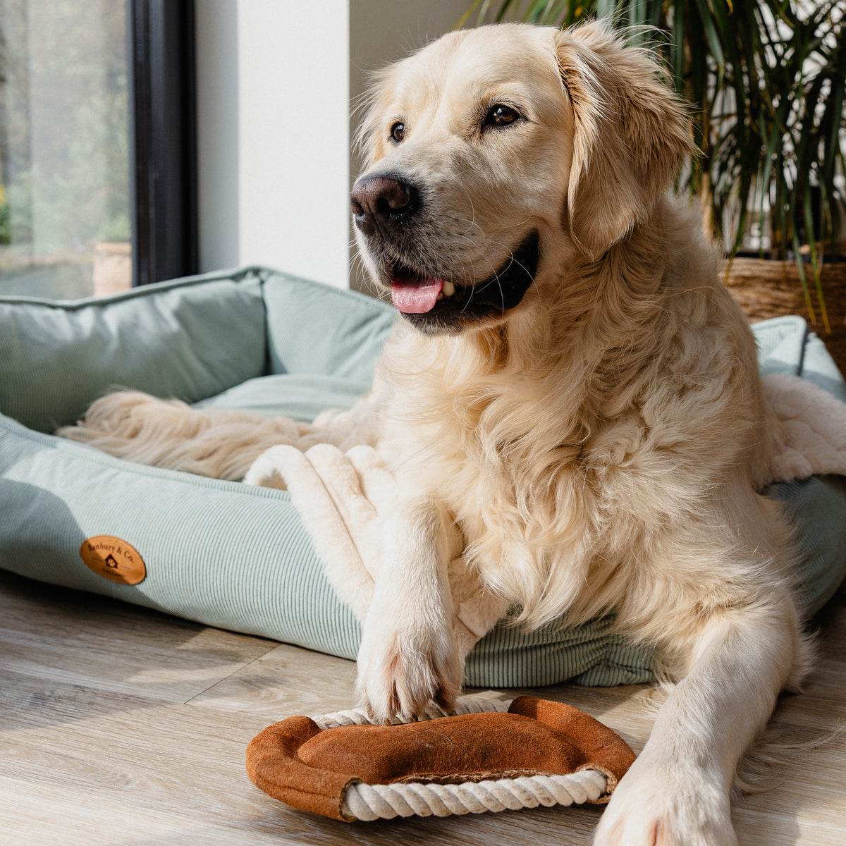 Banbury & Co Rural Retreats Suede Dog Toy 3-Piece Set