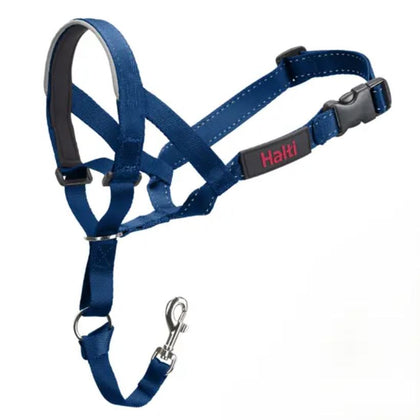 Halti Train Headcollar Cobalt Blue