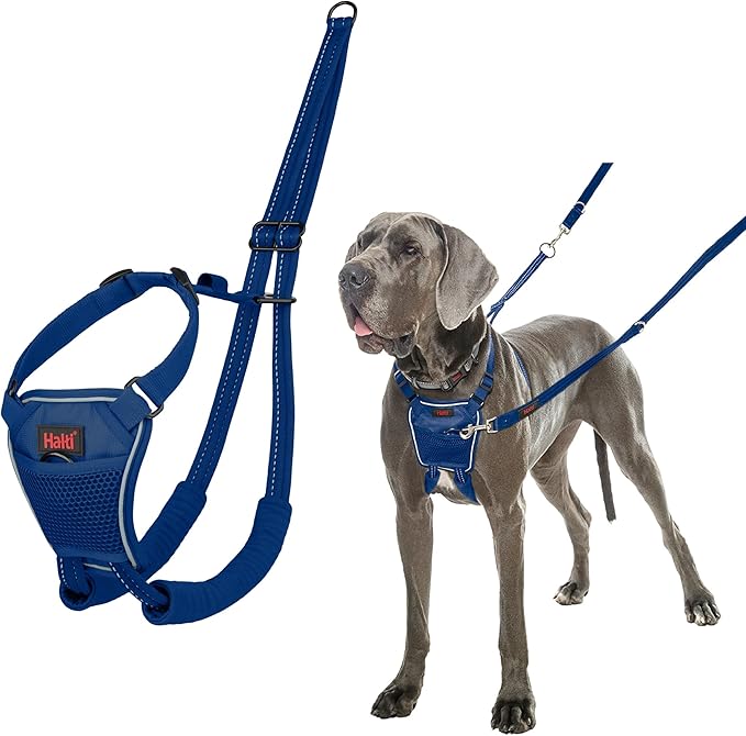 Halti Train No Pull Harness Cobalt Blue