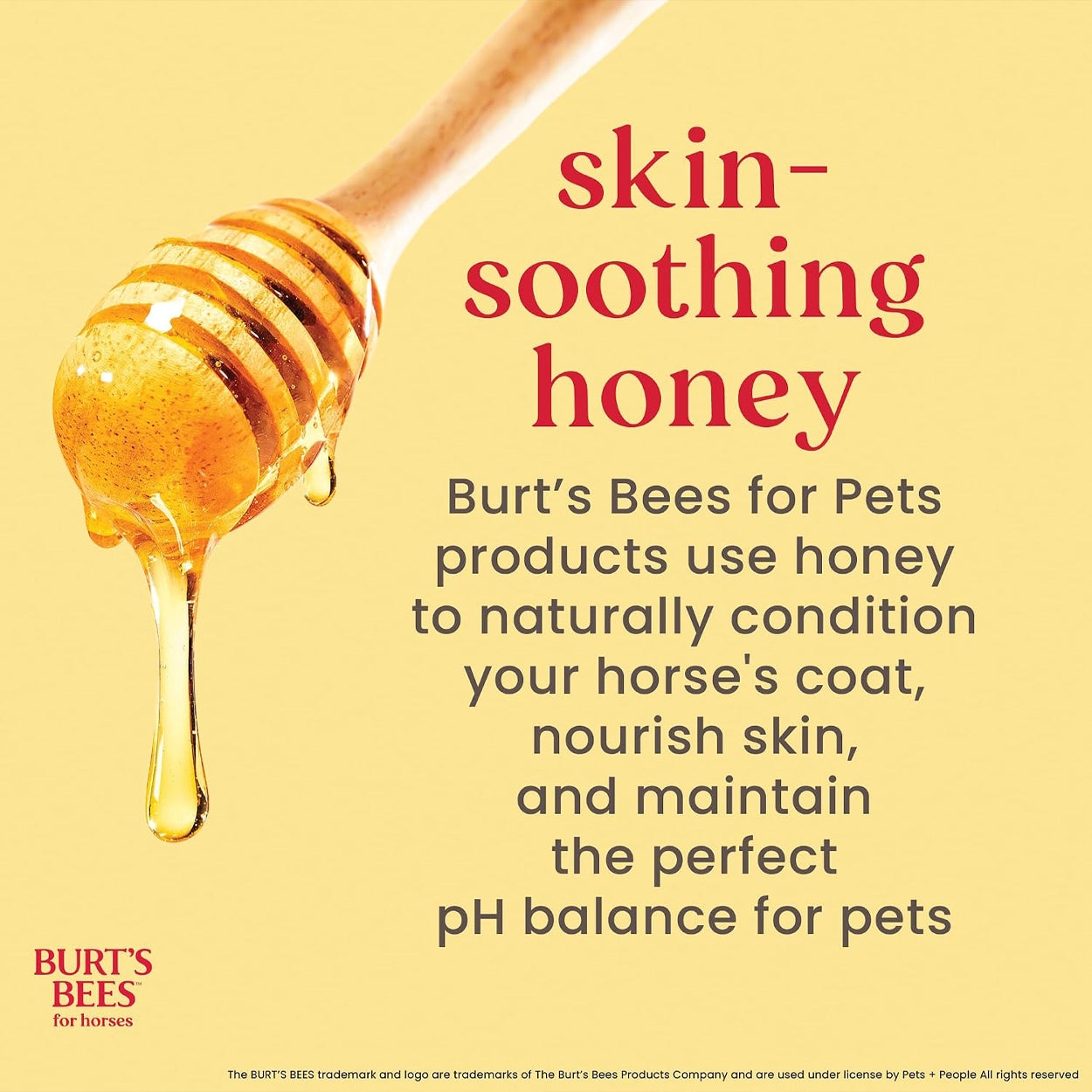 Burt's Bees Complete Equine Grooming Kit