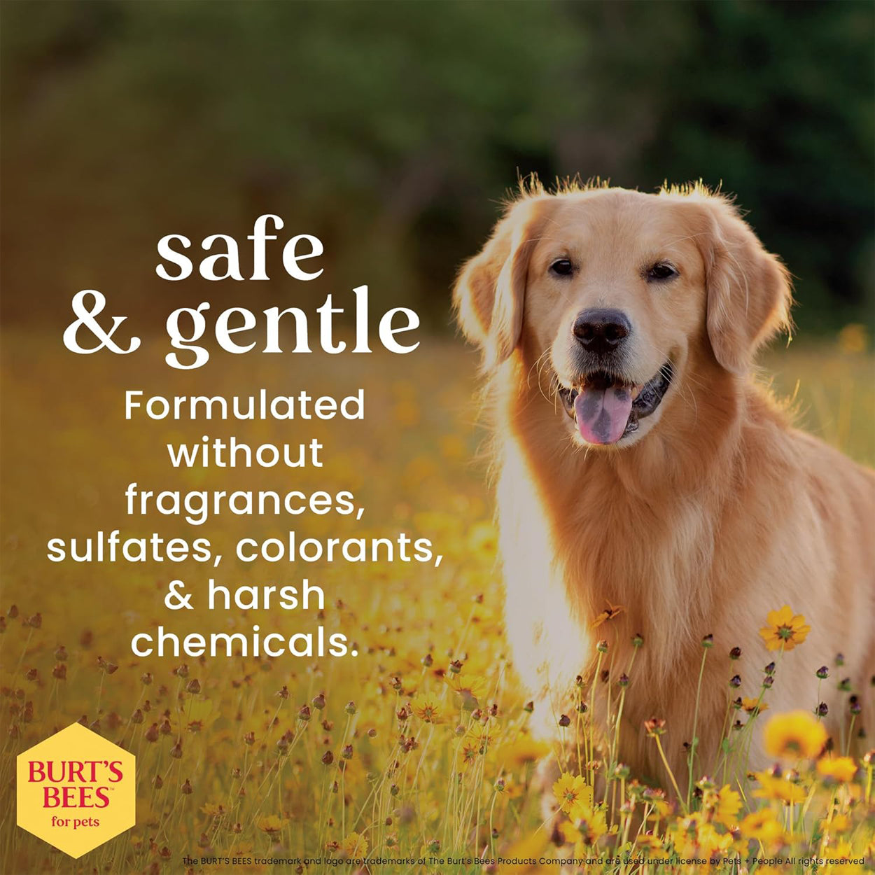 Burt's Bees Dog Sensitive Skin Bundle