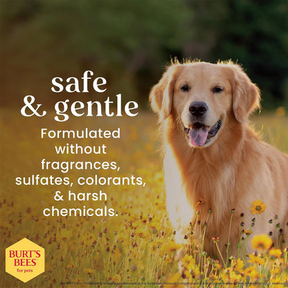 Burt's Bees Dog Sensitive Skin Bundle