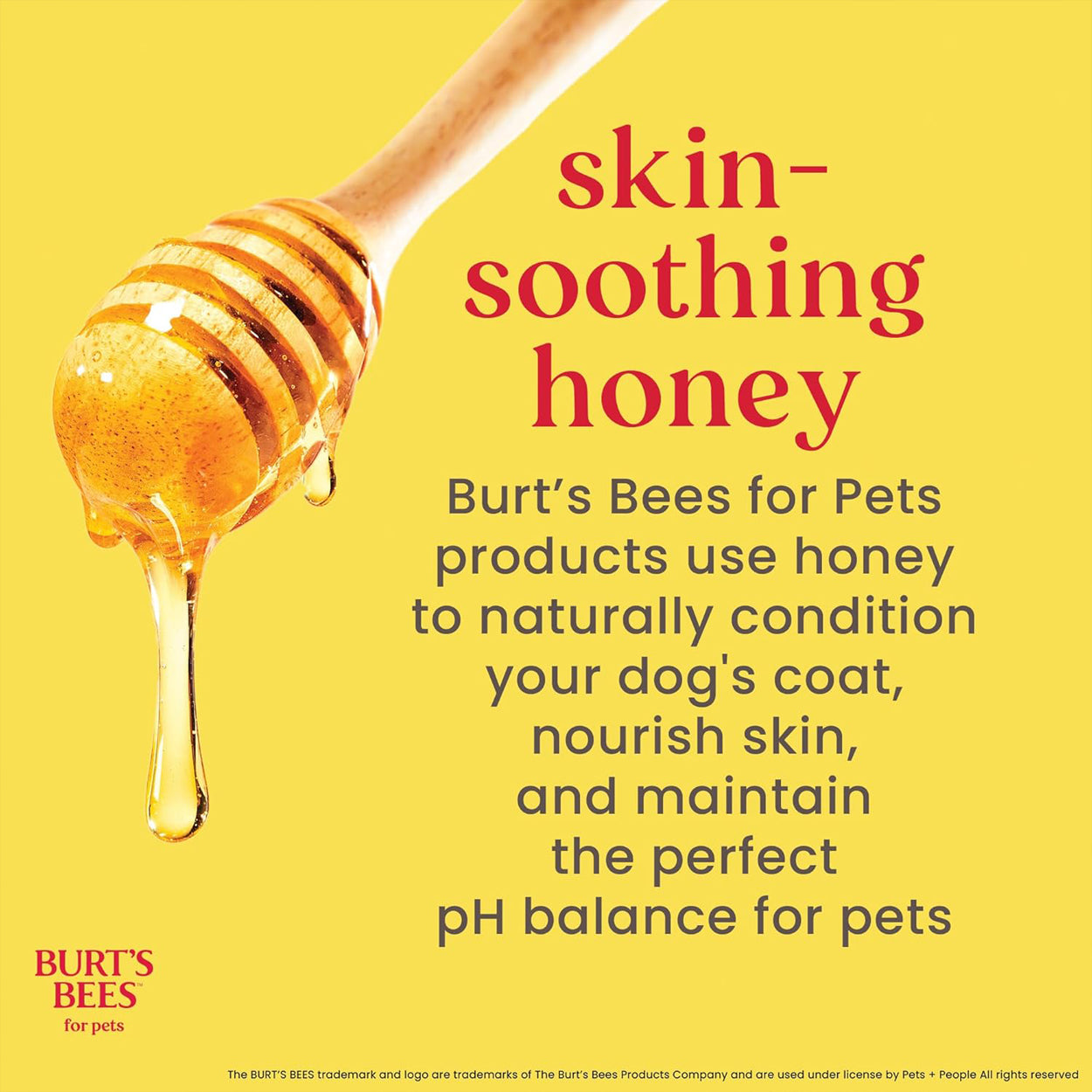 Burt's Bees Dog Sensitive Skin Bundle