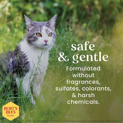 Burt's Bees No-Rinse Cat Care Bundle