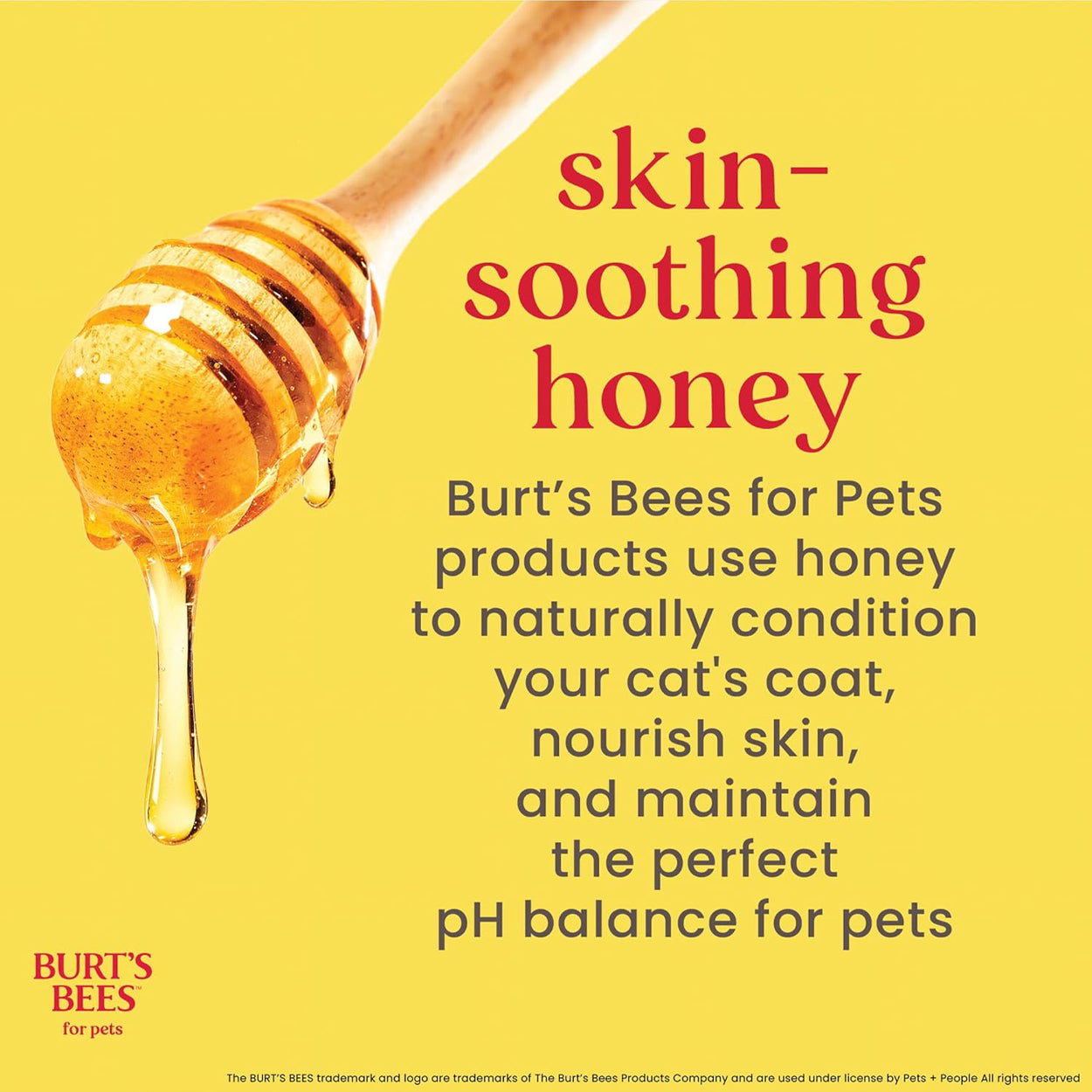 Burt's Bees No-Rinse Cat Care Bundle