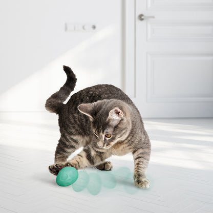 KONG Infused Catnip Egg