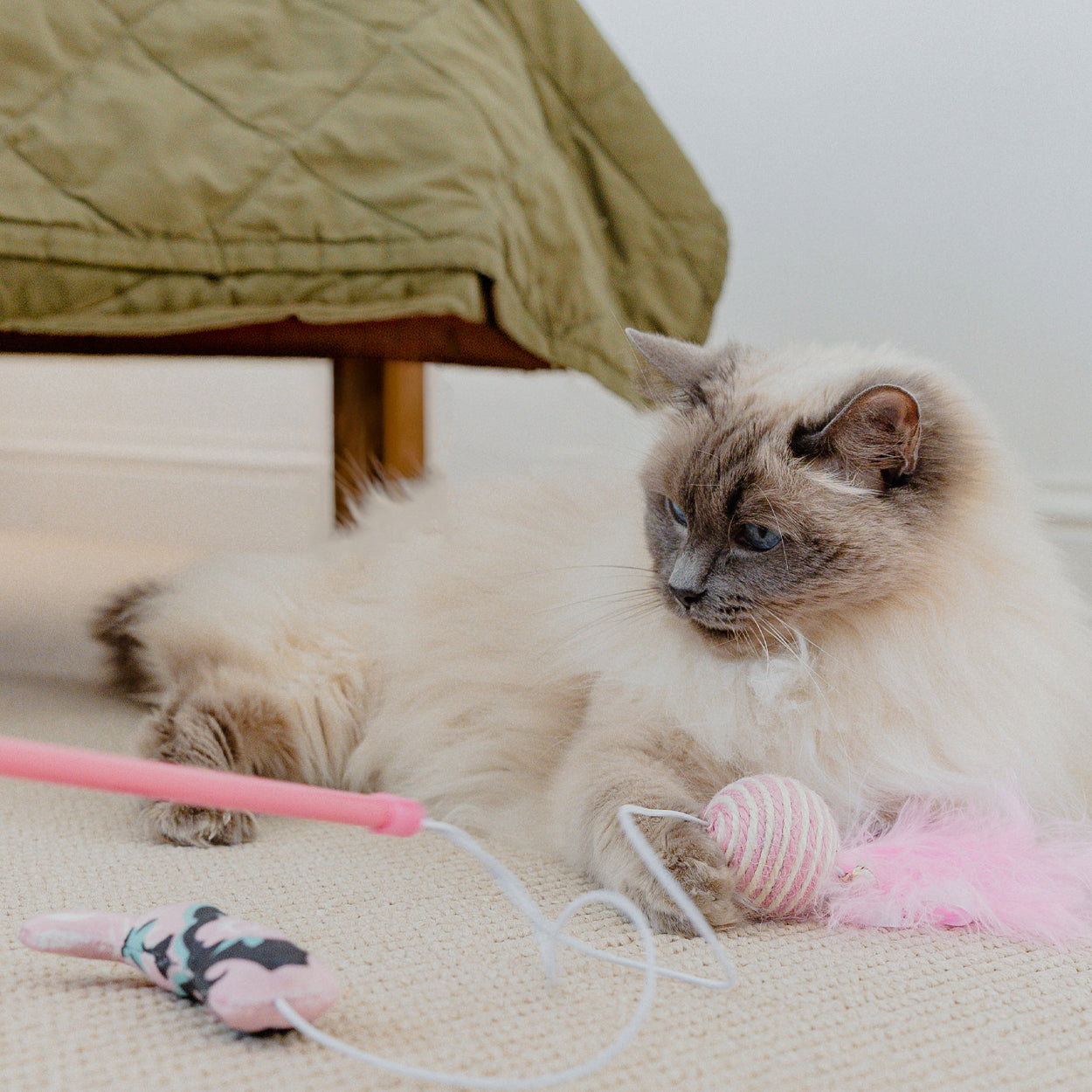 Cath Kidston Cowgirl Cat Teaser