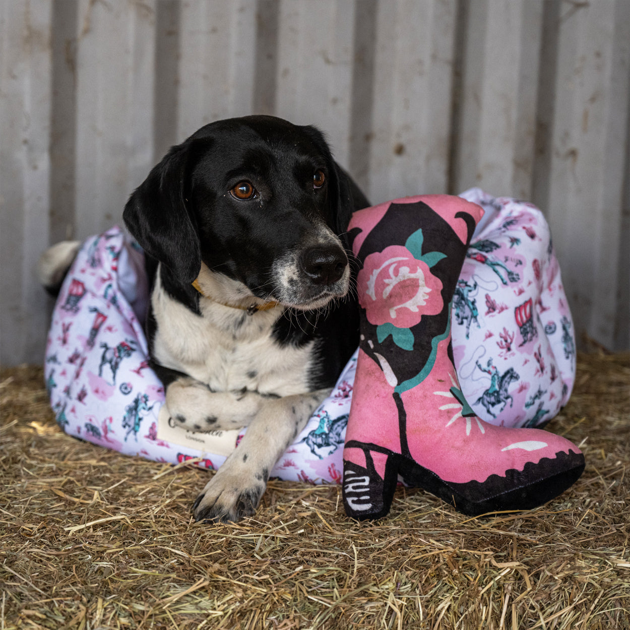 Cath Kidston Cowgirl Scallop Pet Bed