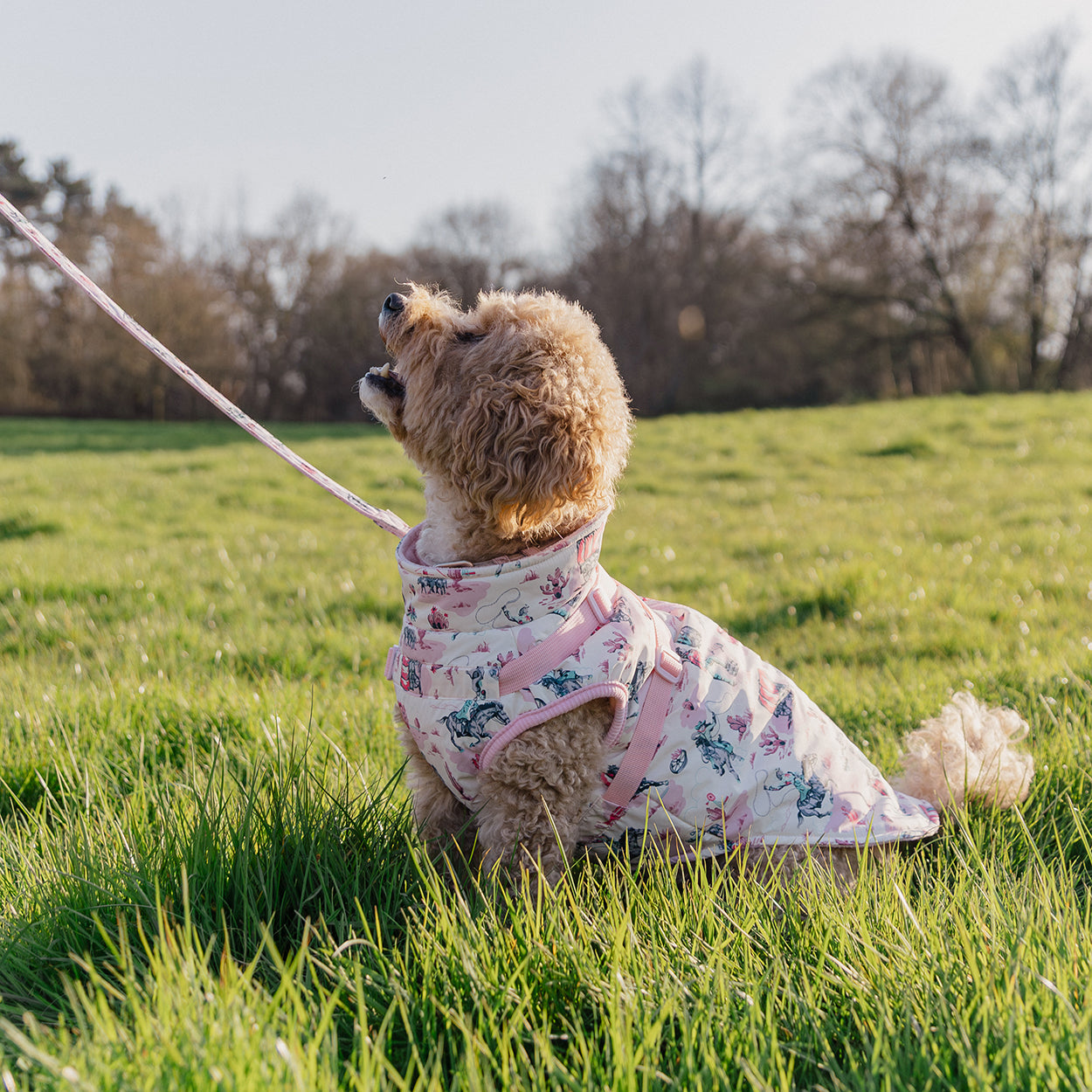 Cath Kidston Cowgirl Dog Coat with Harness