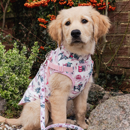 Cath Kidston Cowgirl Dog Coat with Harness