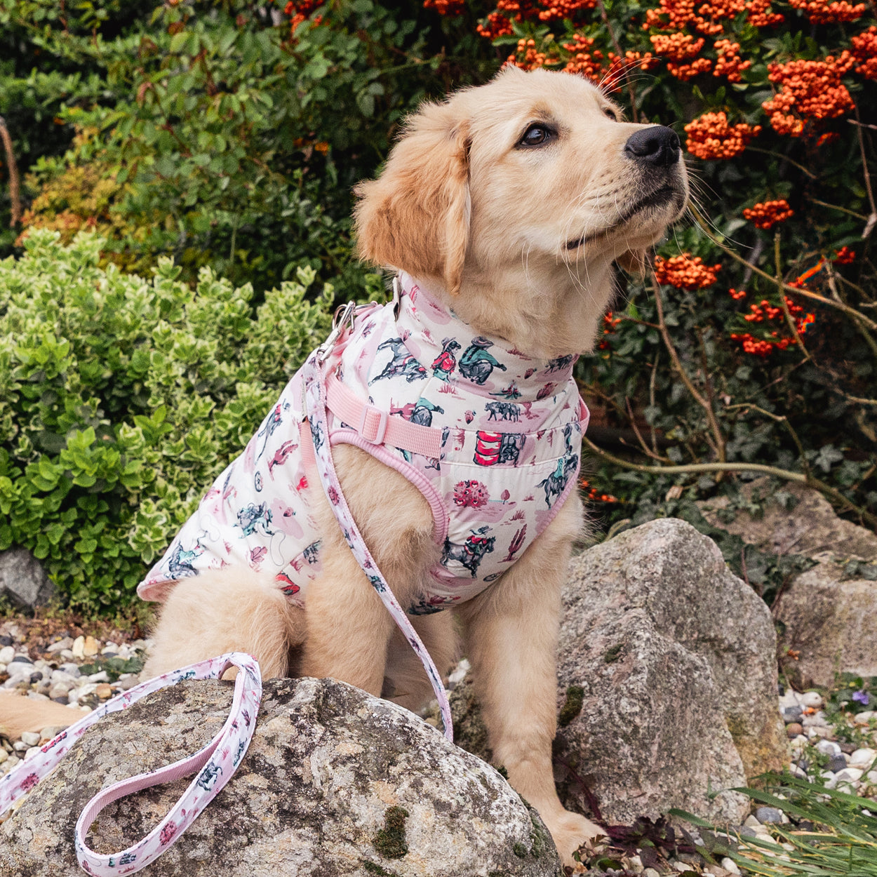 Cath Kidston Cowgirl Dog Coat with Harness