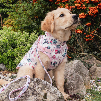 Cath Kidston Cowgirl Dog Coat with Harness