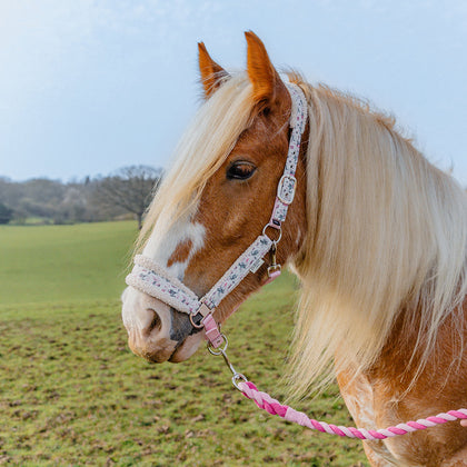 Cath Kidston Equestrian Cowgirl Headcollar & Lead Rope Set