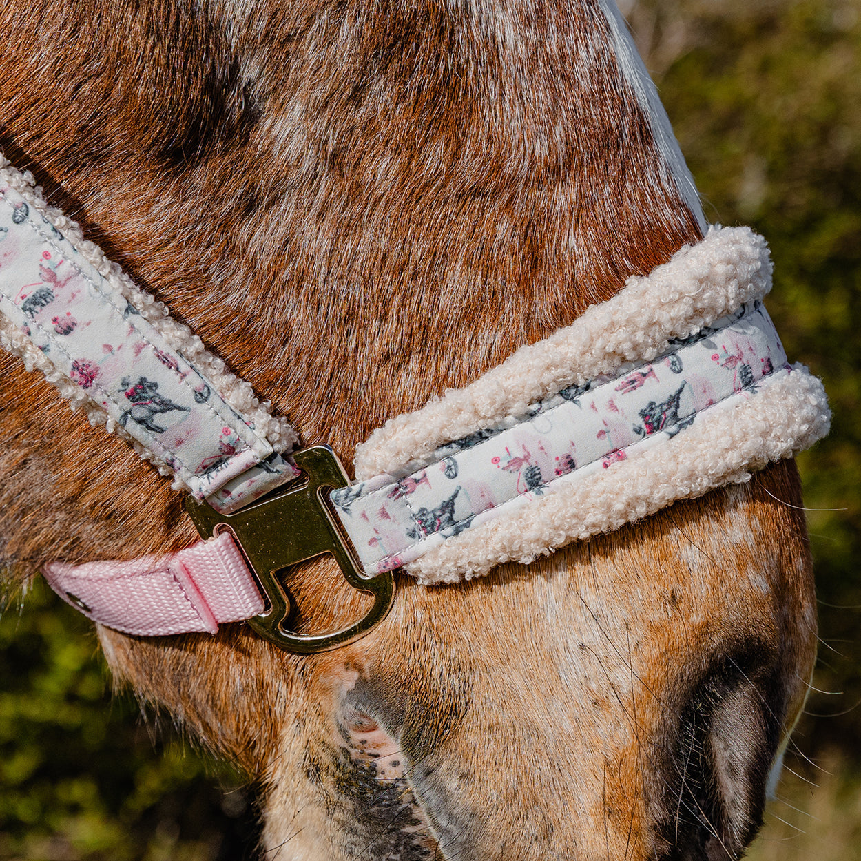 Cath Kidston Cowgirl Headcollar & Lead Rope Set