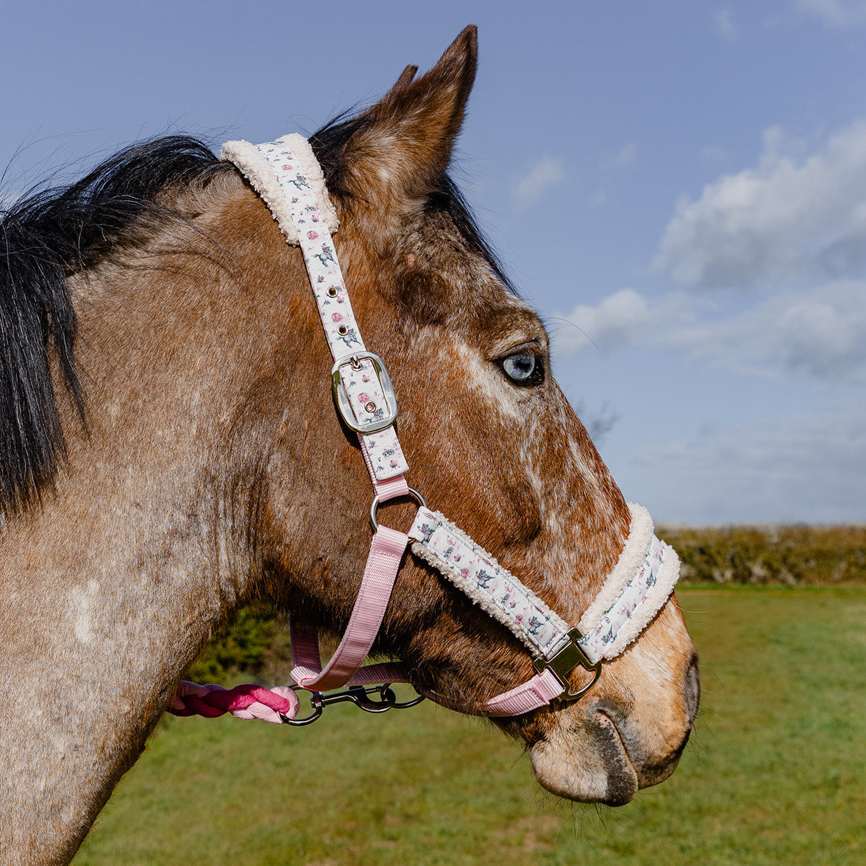 Cath Kidston Cowgirl Headcollar & Lead Rope Set