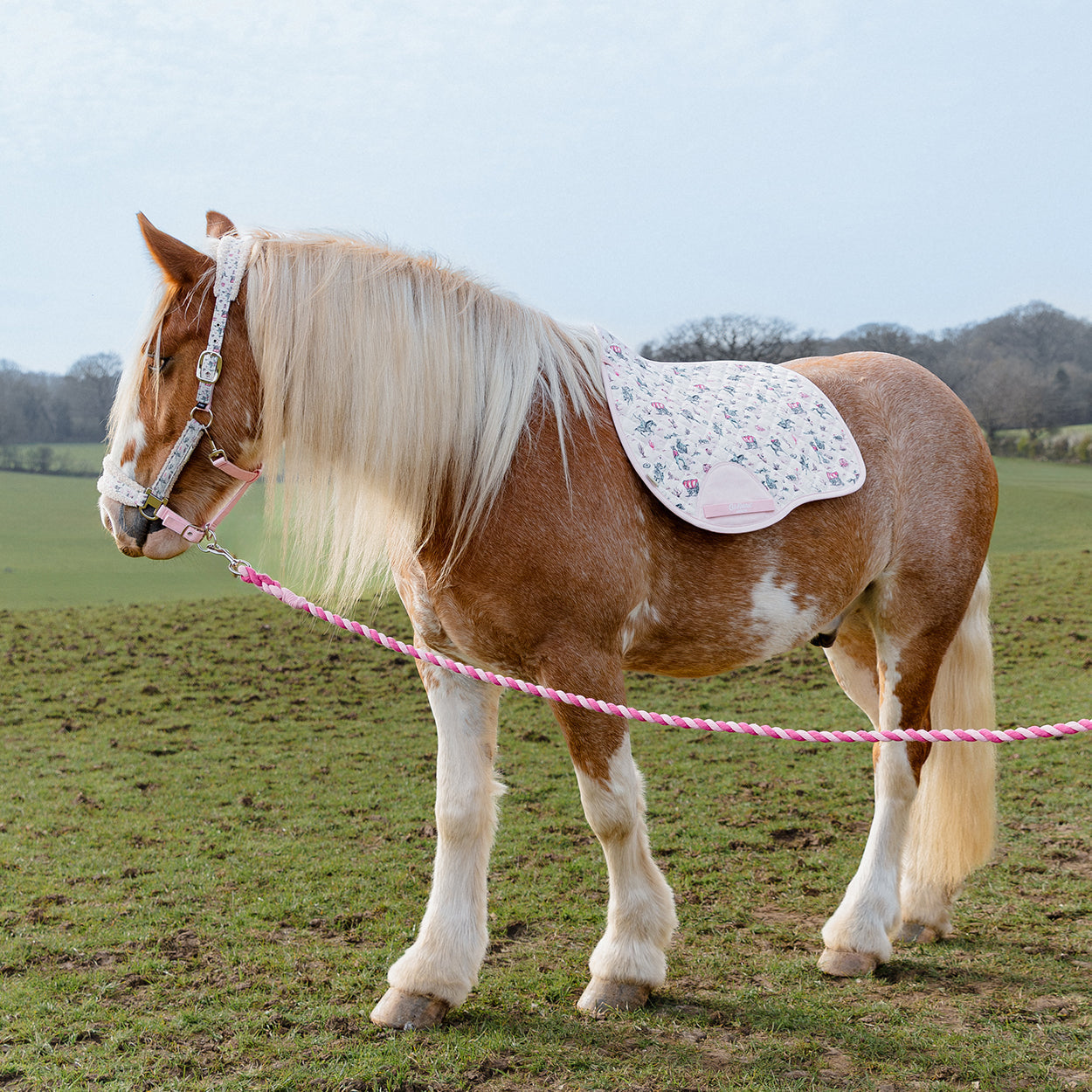Cath Kidston Cowgirl GP Saddle Pad - image 2