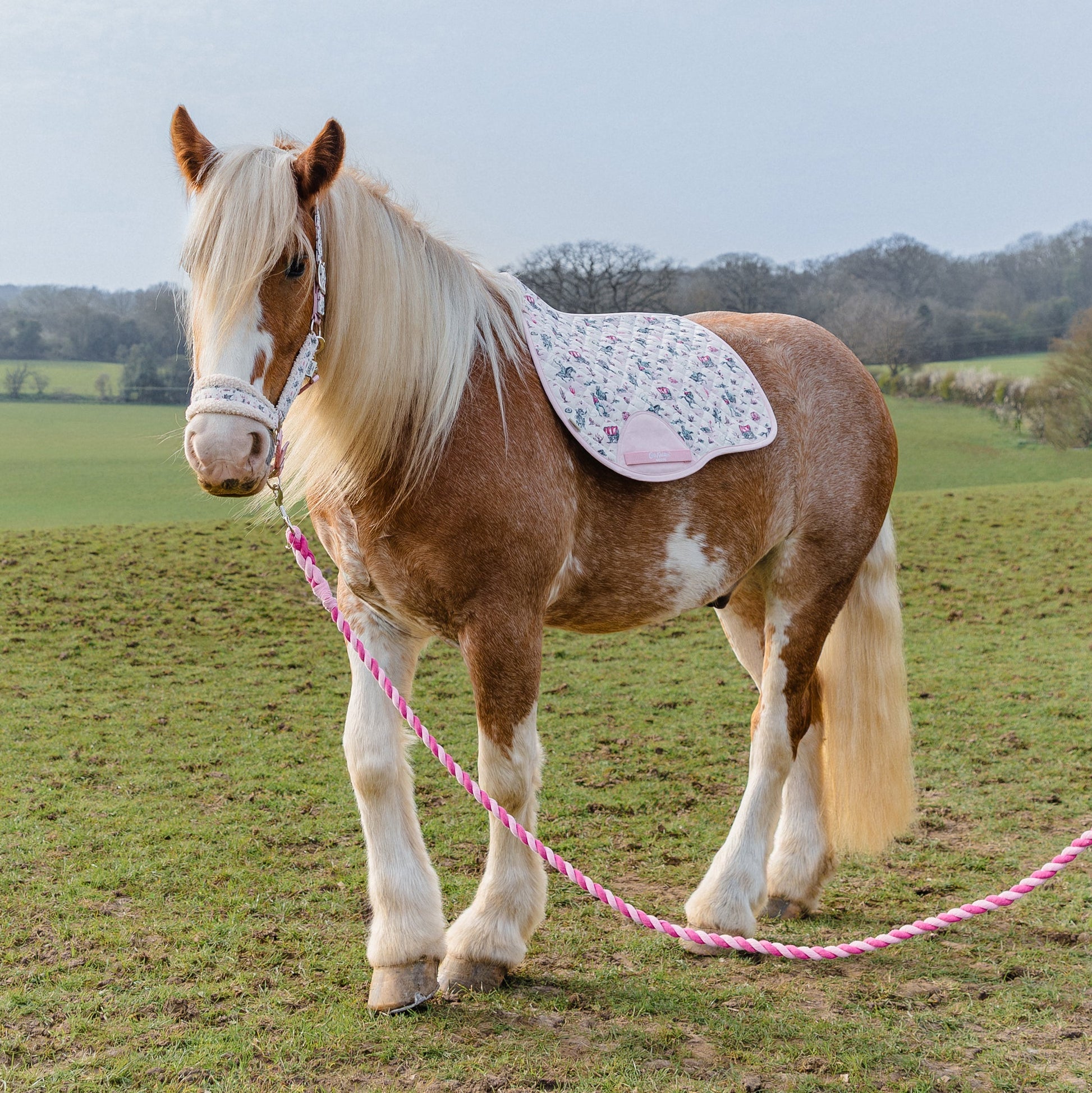 Cath Kidston Cowgirl GP Saddle Pad - image 3