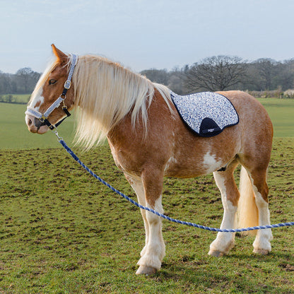 Cath Kidston Strawberry Garden Headcollar & Leadrope Set