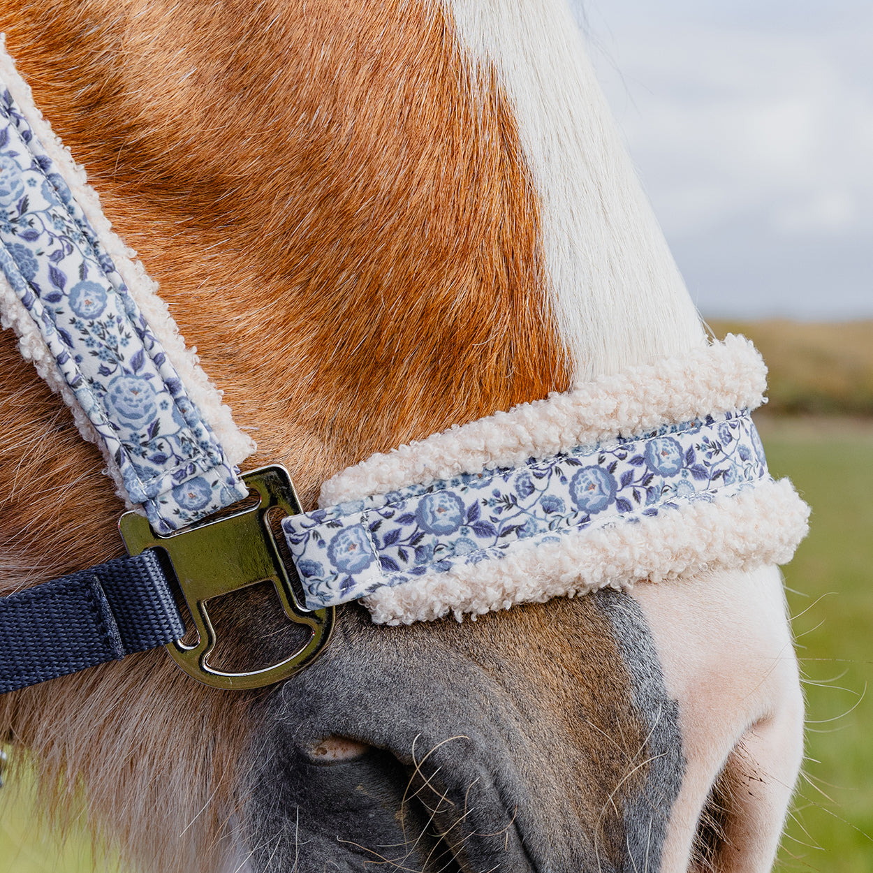 Cath Kidston Strawberry Garden Headcollar & Leadrope Set