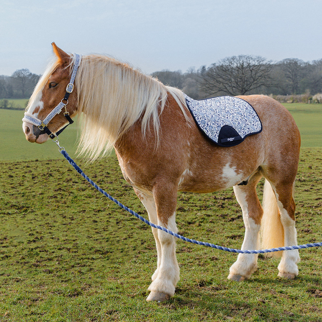 Cath Kidston Strawberry Garden GP Saddle Pad - image 2