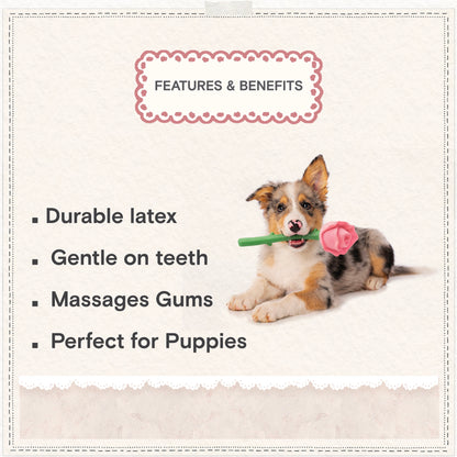 Cath Kidston Dolly Rose Latex Rose Dog Toy