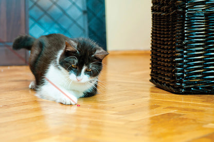 KONG Cat Toy Laser Pointer