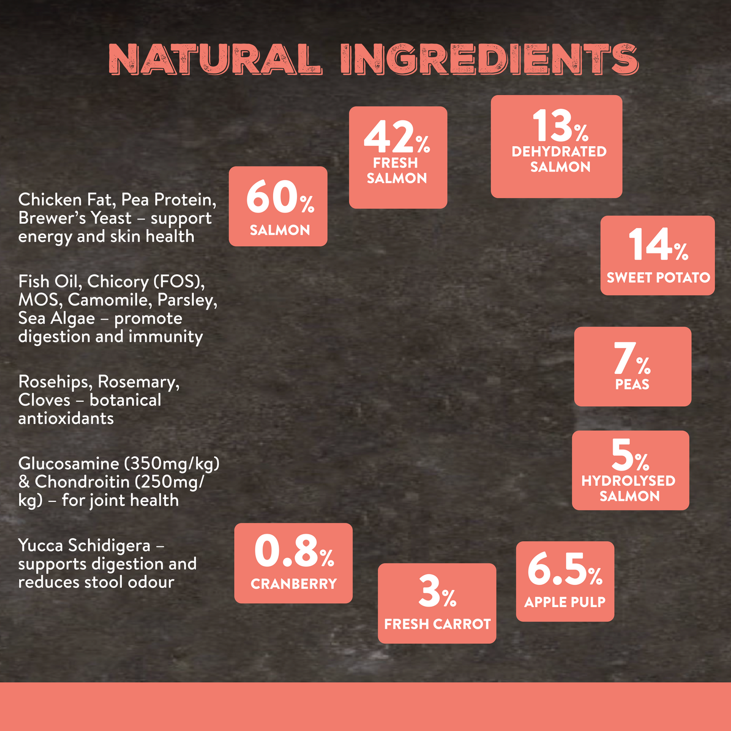 Canine Choice Super Premium Grain-Free Large Adult Dry Dog Food – Salmon | 12kg