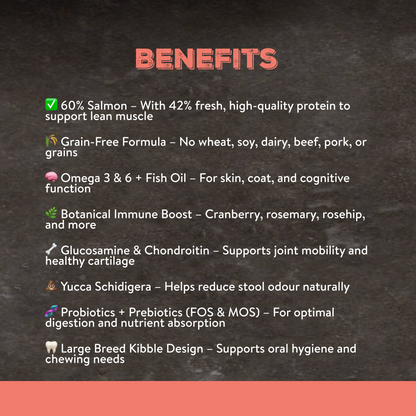 Canine Choice Super Premium Grain-Free Large Adult Dry Dog Food – Salmon | 12kg