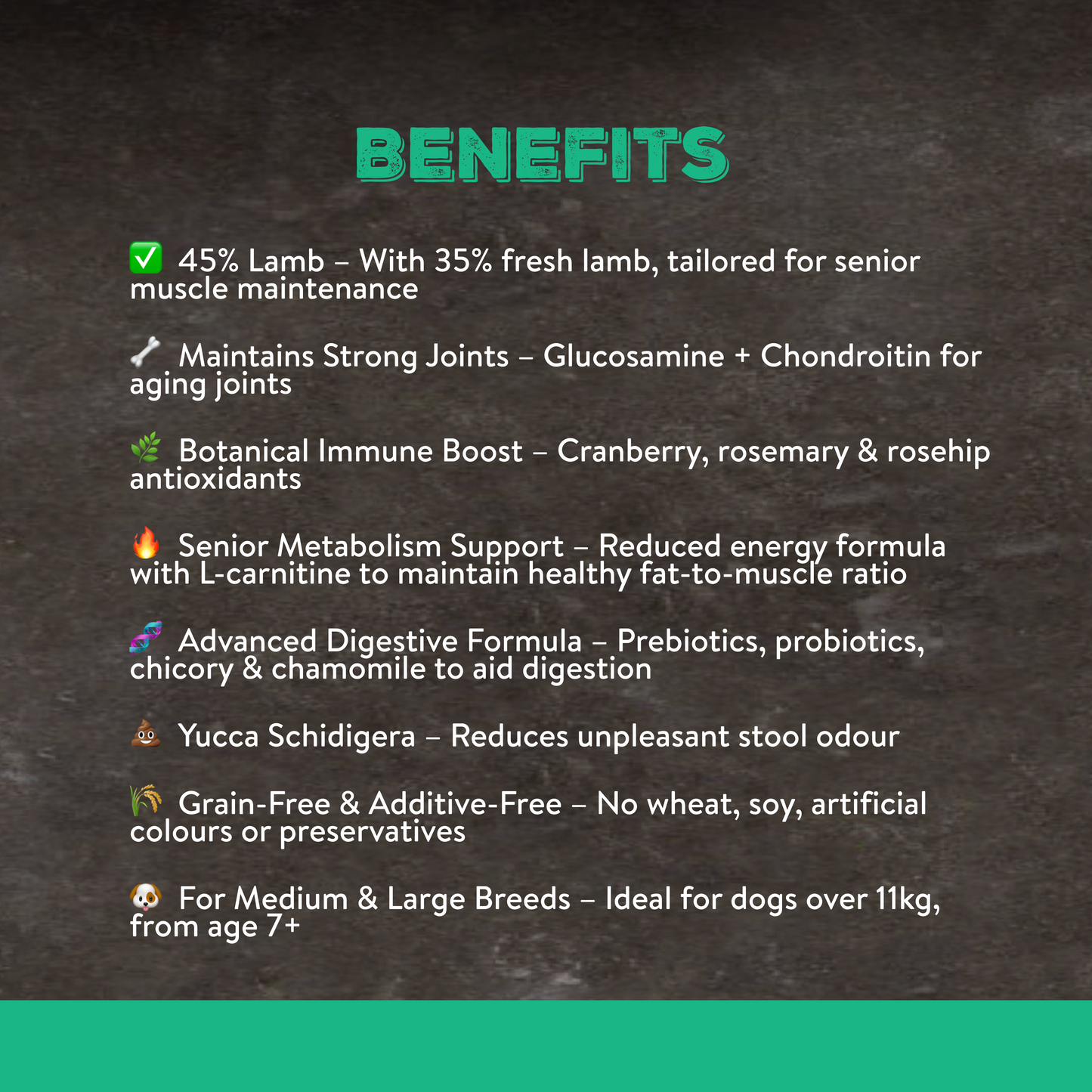 Canine Choice Super Premium Grain-Free Light Medium & Large Senior Dry Dog Food – Lamb | 12kg