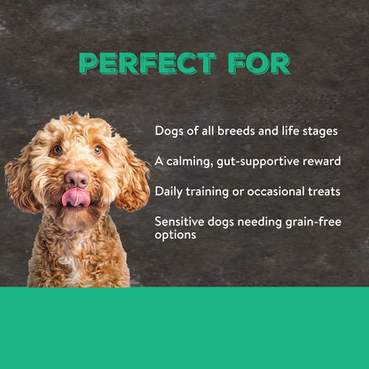 Canine Choice Soothing Dog Treats - Chicken & Lamb | 100g