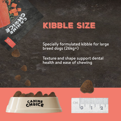 Canine Choice Super Premium Grain-Free Small Adult Dry Dog Food – Salmon | 7kg