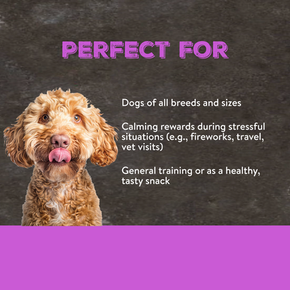 Canine Choice Chillout Dog Treats - Chicken & Turkey | 100g