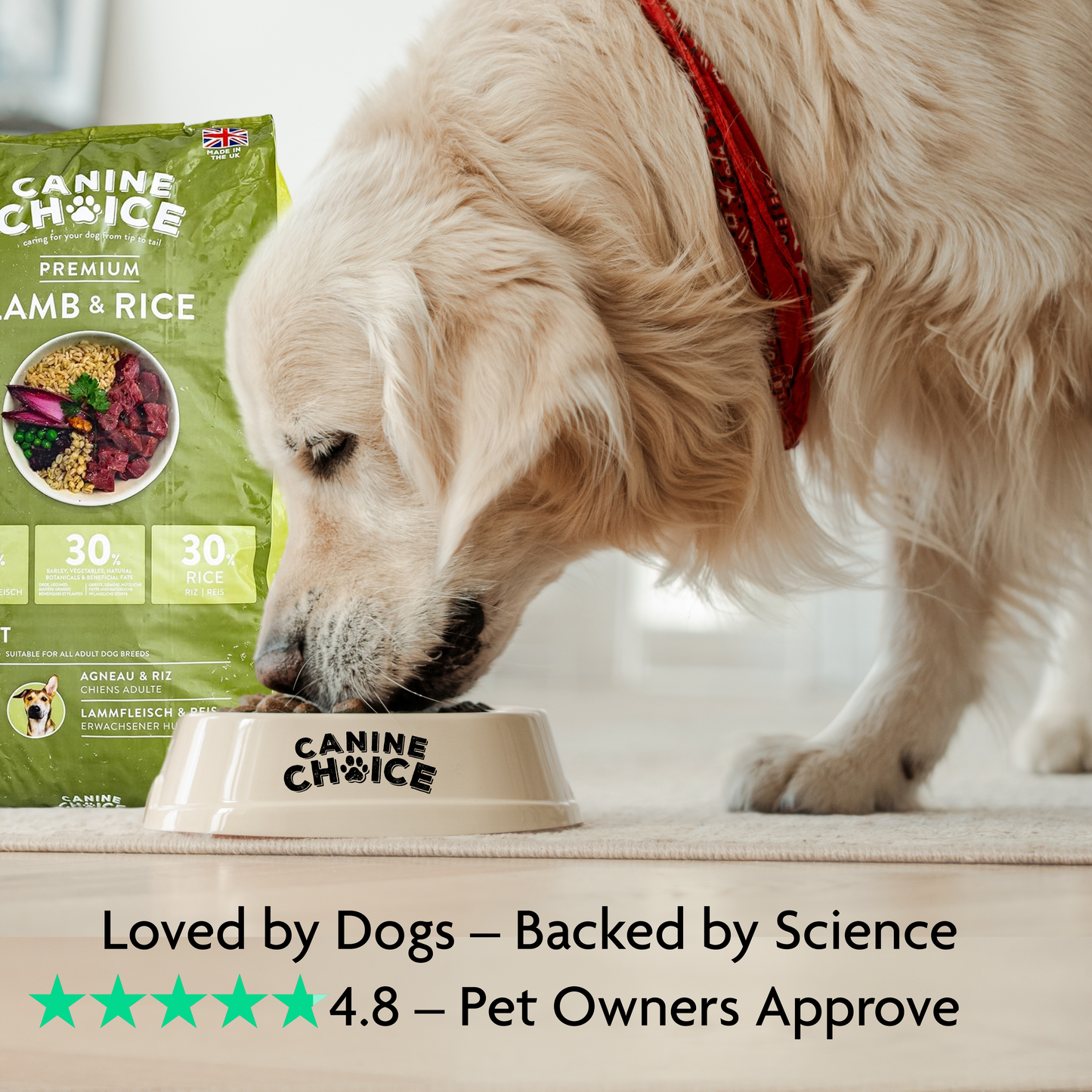 Canine Choice Premium Lamb Hypoallergenic Adult Dry Dog Food