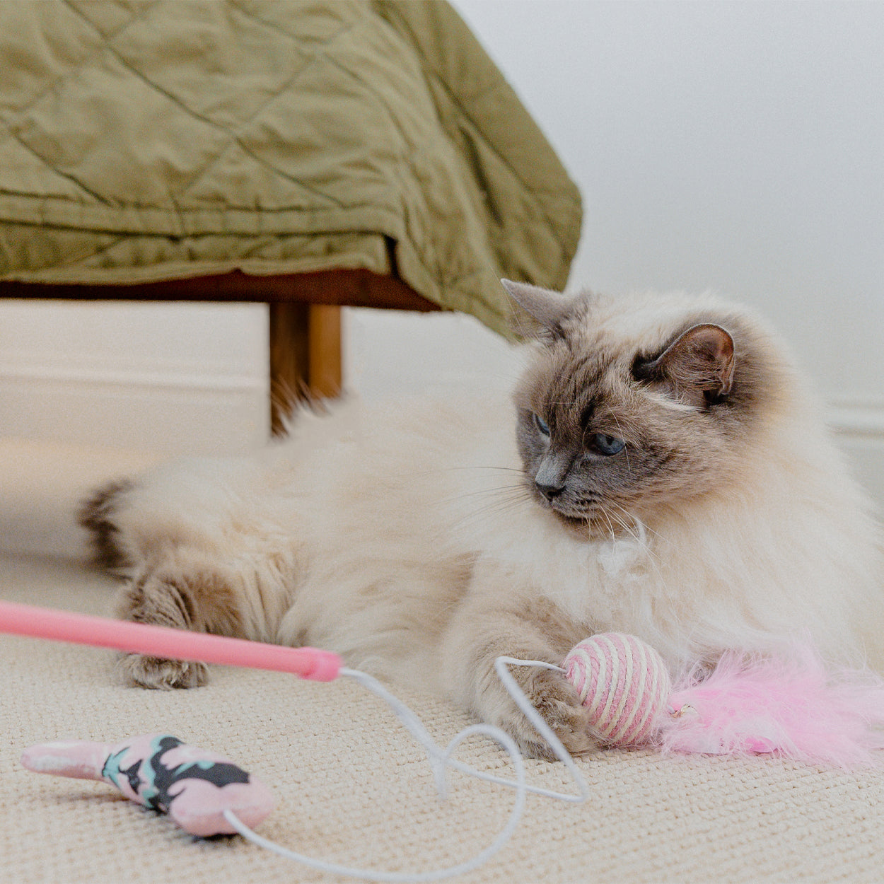 Cath Kidston Cat Toy Bundle