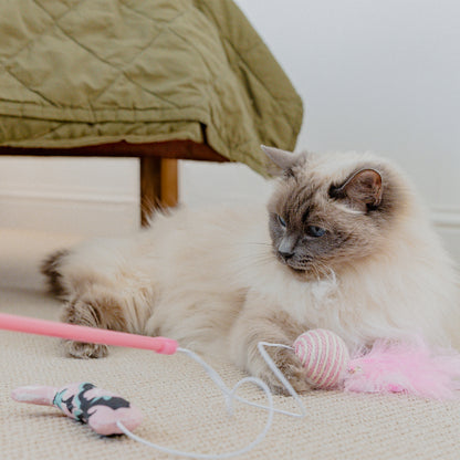 Cath Kidston Cat Toy Bundle